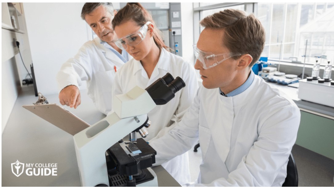 Science & Research Jobs: Types, Roles, and Career Opportunities